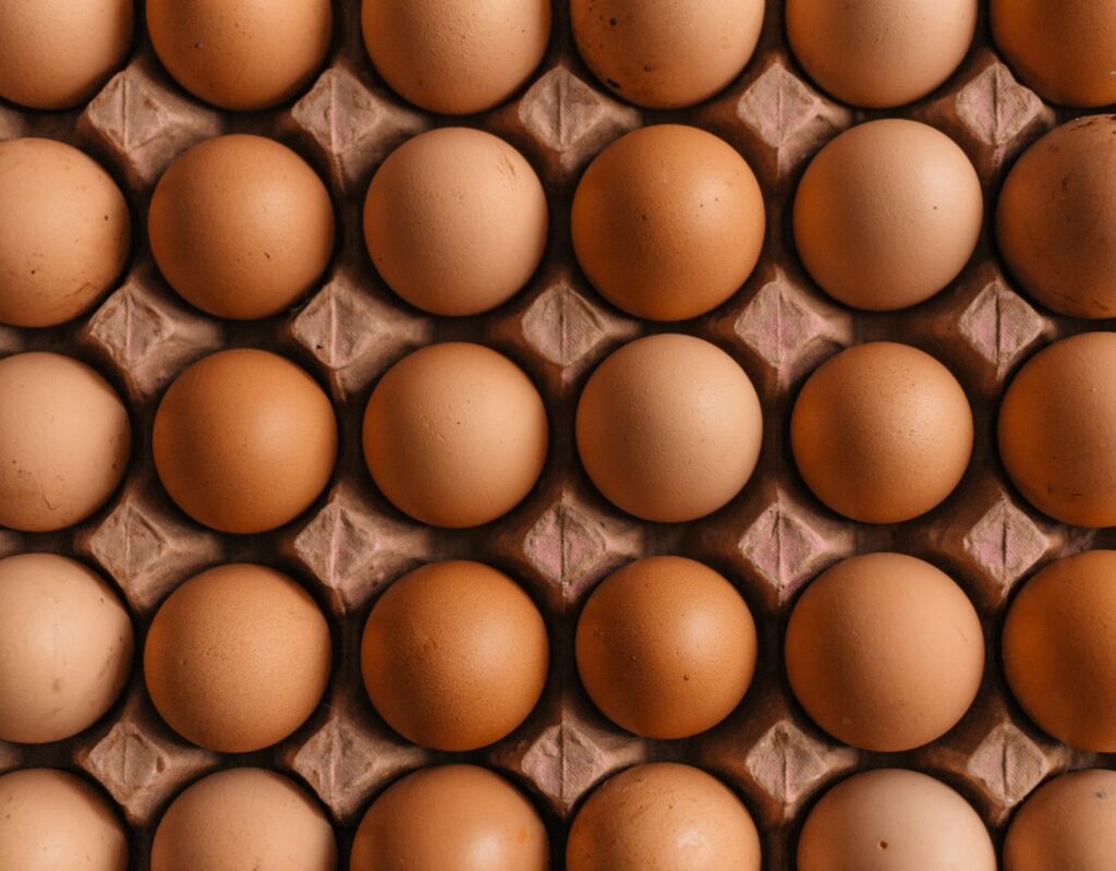 Braune Eier im Eierkarton als einfache Quelle für den Proteinbedarf Sportler