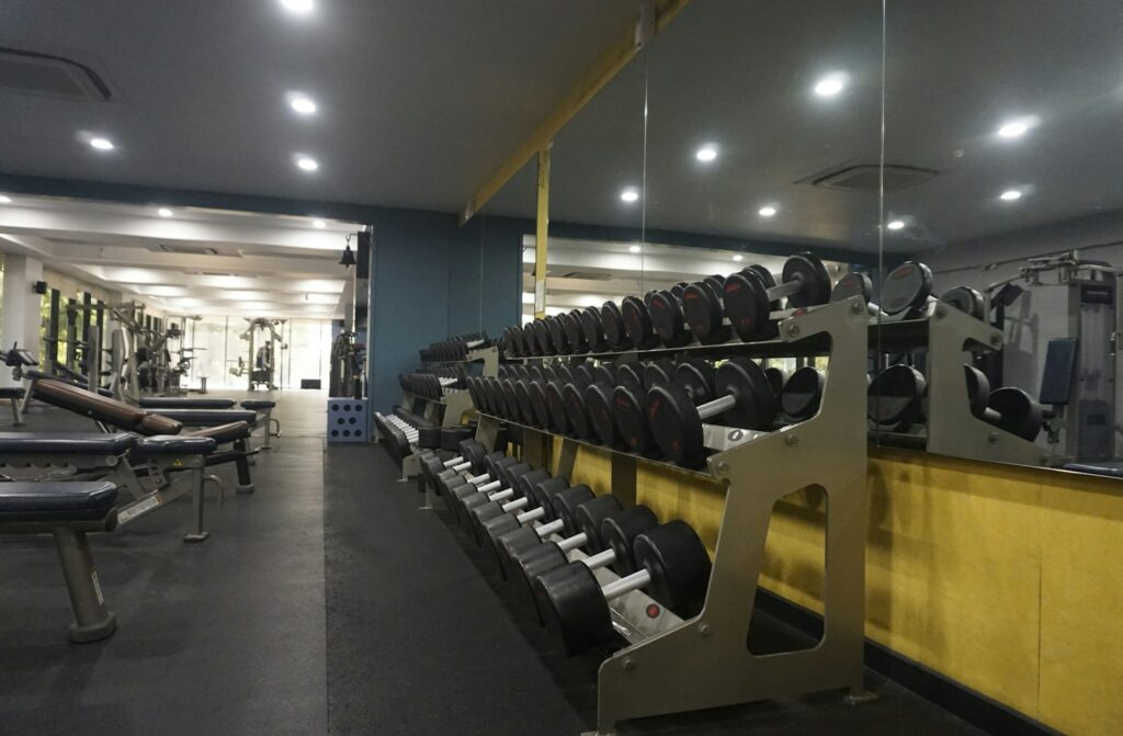 Kurzhantelablage in einem hellen Fitnessstudio für den Split-Trainingsplan